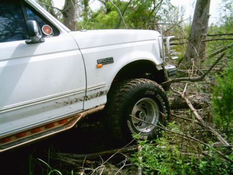 1995 Ford Bronco - This 1995 Ford Bronco navigates a challenging off-road path surrounded by dense foliage and fallen branches.