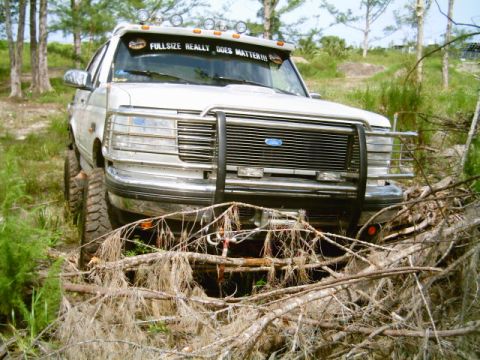 1995 Ford Bronco - White 1995 Ford Bronco with brush guard and light bar, stuck in brush.