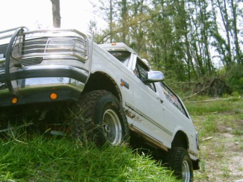 1995 Ford Bronco - A white Ford Bronco navigates a grassy, wooded terrain.