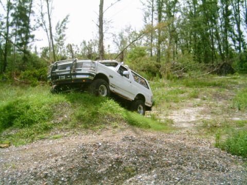 1995 Ford Bronco - 1995 Ford Bronco navigating an off-road trail with steep inclines and dense foliage.
