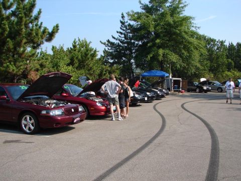 1992 Ford Taurus - Cars gathered in a parking lot, with several hoods open for display.
