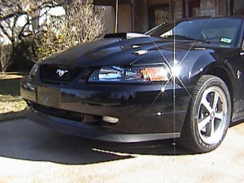 1989 Ford Mustang - Front view of a black Ford Mustang, likely from the early 2000s, showing its hood scoop and alloy wheels.