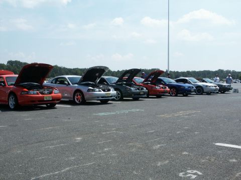 2001 Mercury Grand Marquis - Multiple Ford Mustangs are parked in a line with their hoods open, suggesting a car show or meet.