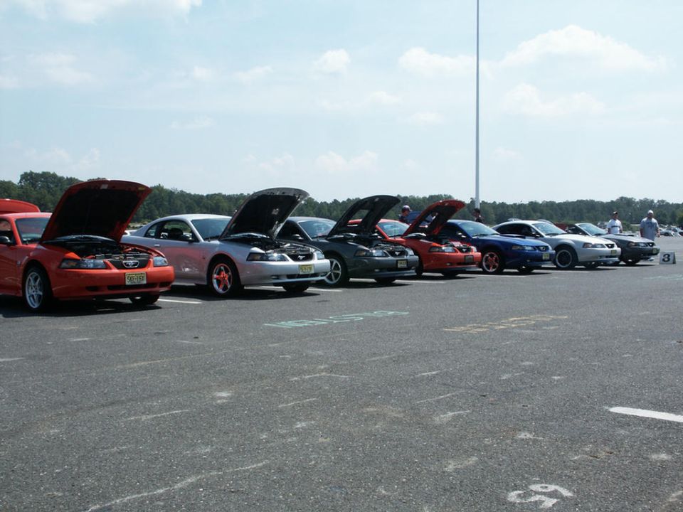 Several Ford Mustangs lined up with hoods open. One is orange, another silver, then dark green, red, blue, and white