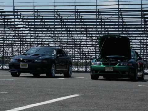 2001 Mercury Grand Marquis - Two Ford Mustang SVT Cobras are parked on a track, with one showing its engine. The green car has license plate SVT3295.