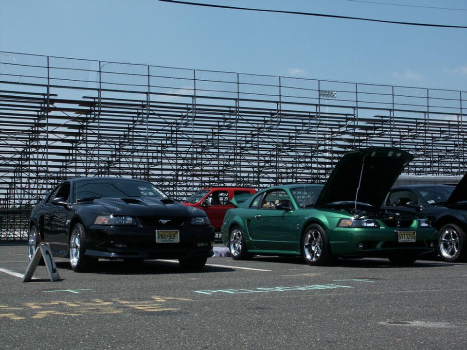 Two Ford Mustangs parked side-by-side, one black, one green with hood open