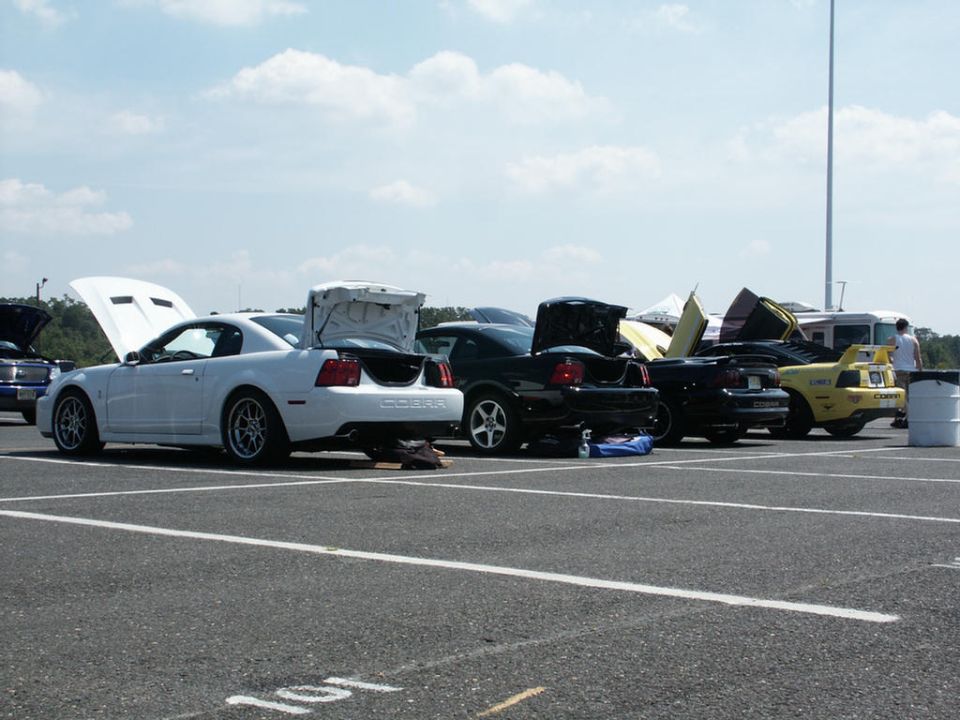 White Ford Mustang Cobra with trunk and hood open, parked next to other cars