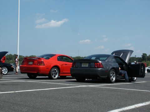 2001 Mercury Grand Marquis - Two Ford Mustangs, one red and one gray, are parked side-by-side at a car show under a blue sky.