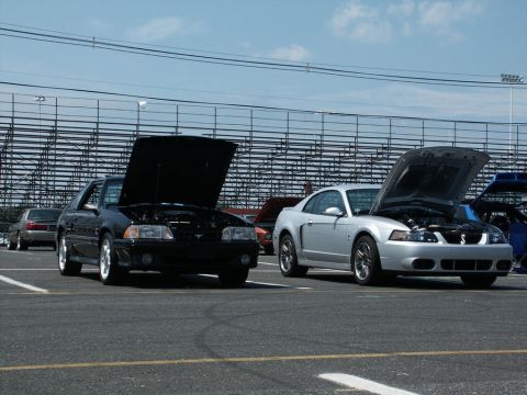 2001 Mercury Grand Marquis - A silver 2001 Ford Mustang Cobra and a black car are displayed with their hoods open at a car show.