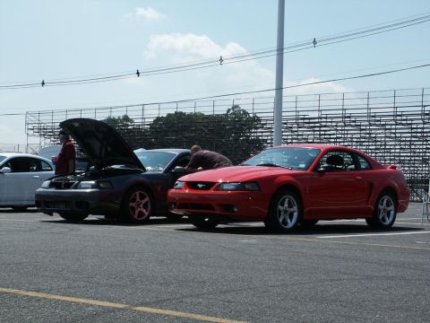 2001 Mercury Grand Marquis - Two Ford Mustangs are parked at an outdoor car show event.