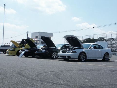2001 Mercury Grand Marquis - Several Ford Mustangs are displayed with their hoods open at a car show.