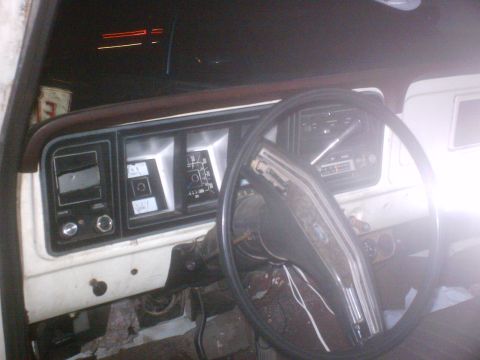 1979 Ford F-100 photo