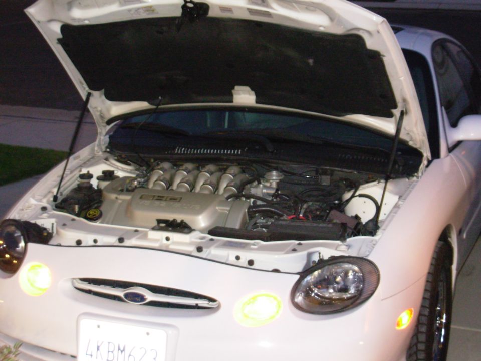 engine shot of the v8