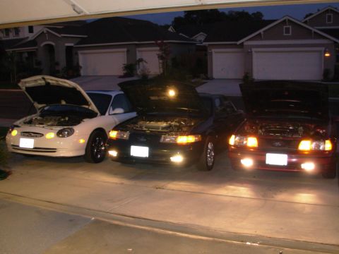 1995 Ford Taurus - another front end shot of the group