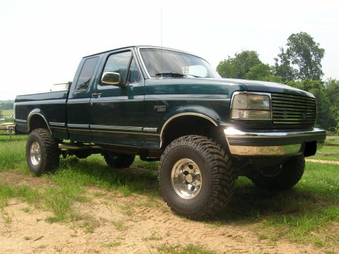 1994 Ford F-150 - This lifted 1994 Ford F-150 pickup truck is shown in a three-quarter front view, parked outdoors on a dirt and grass surface.