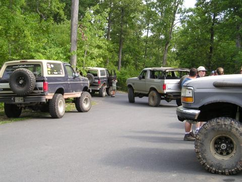 1996 Ford Bronco - Several Ford Bronco SUVs are gathered together in a wooded area, with one prominently displayed from the rear.