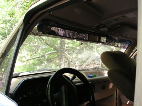 1996 Ford Bronco - The interior of an older SUV is shown, with the steering wheel and dashboard in view, looking out at a wooded area.