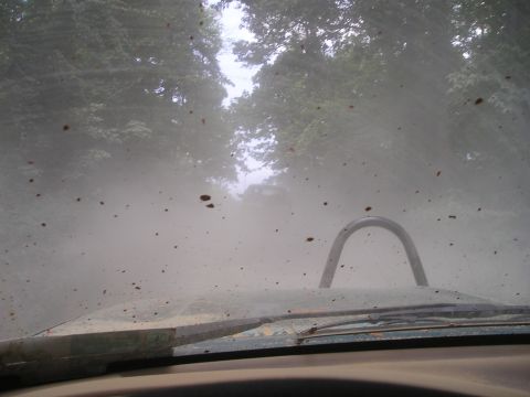 1996 Ford Bronco - Driving through a dusty trail, obscuring the view ahead and coating the windshield.