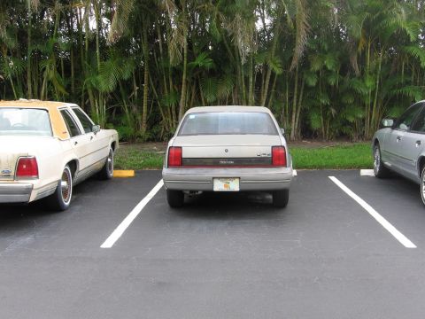 1991 Oldsmobile Calais - This is a rough photochop I made in MS Paint of the previous picture, depicting my Oldsmobile before the Florida sun took over. :)