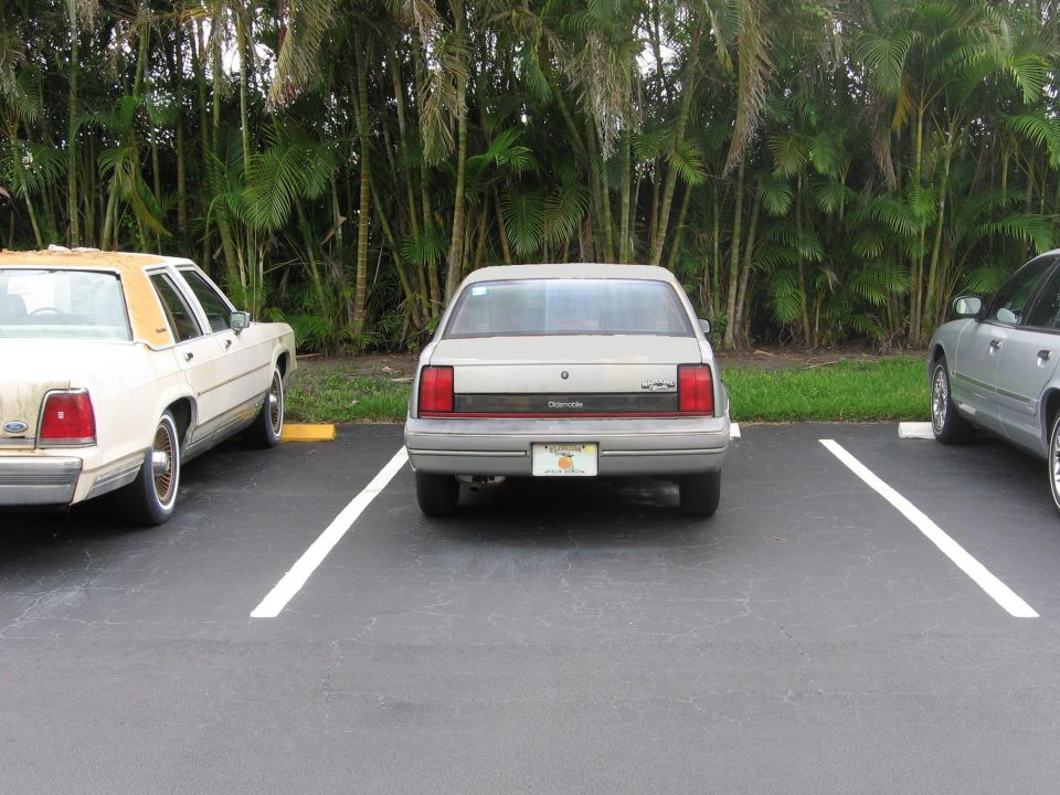 Rear view of silver Oldsmobile Calais with Florida plate parked between two cars, palm trees behind