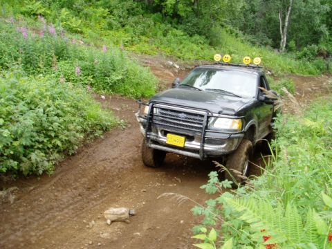 2000 Ford E350 - Black Ford F-150 pickup truck navigates a muddy off-road trail with dense green foliage.