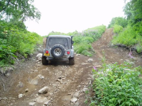 2000 Ford E350 - A Jeep Wrangler navigates a challenging off-road path surrounded by lush vegetation.
