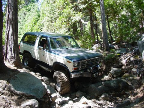 1986 Ford Bronco - Blue-over-white full-size Ford Bronco crawling a rocky trail through a shaded conifer forest, shown from the passenger-side front three-qua…