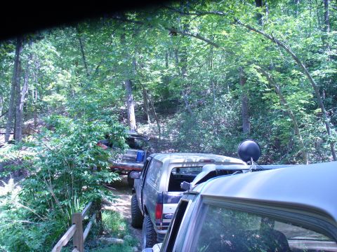 1996 Ford Bronco - Multiple off-road vehicles navigate a path through a dense forest on a sunny day.