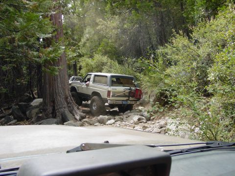 1986 Ford Bronco - A white Ford Bronco navigates a challenging, rocky off-road trail with dense foliage on either side.