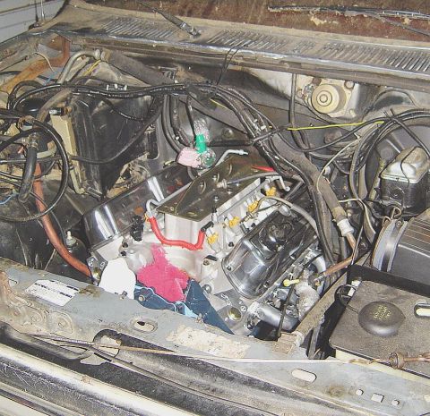 1986 Ford Bronco - Custom V8 engine installation in an engine bay, chrome valve covers and aftermarket fuel injection components.