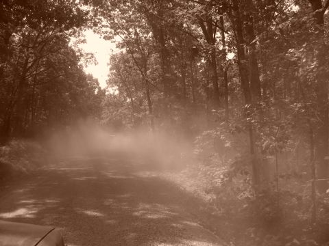 1996 Ford Bronco - A vehicle kicks up dust on a wooded dirt road, obscuring visibility.