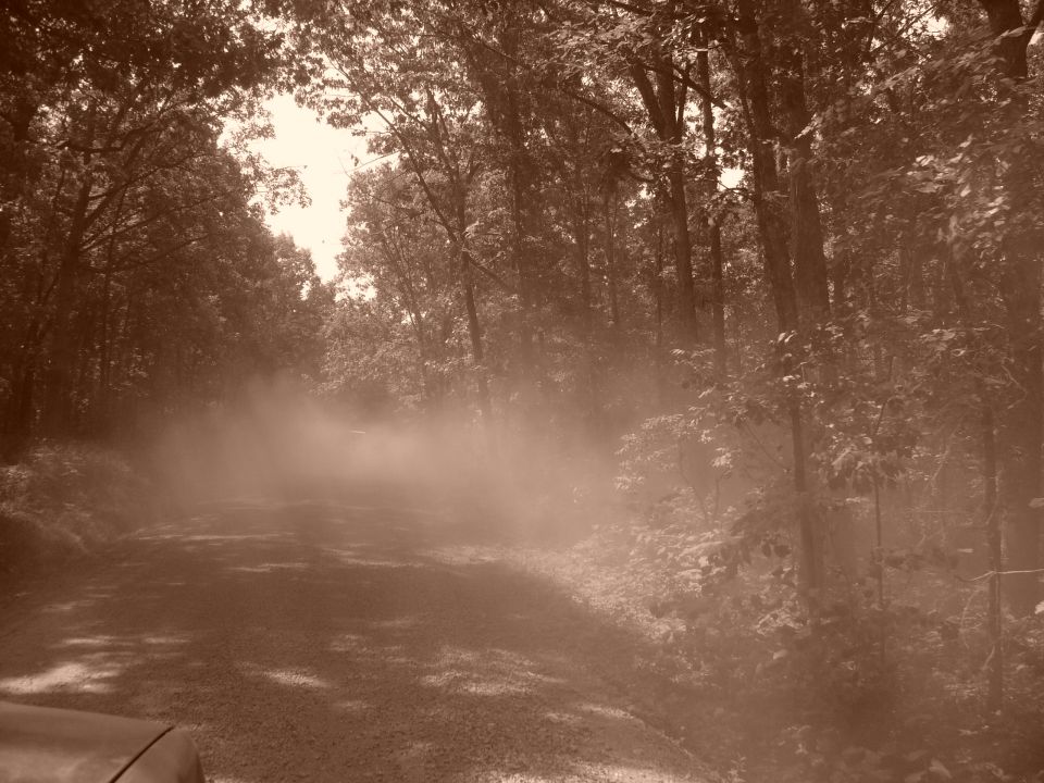 Dust cloud on a dirt road, with trees lining the sides. A vehicle is partially visible in the foreground