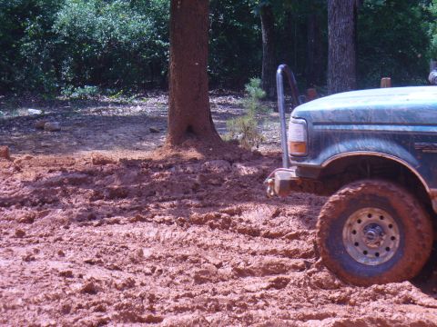1996 Ford Bronco - A Ford truck is stuck in thick mud next to a tree in a wooded area.