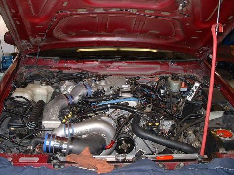 1992 Ford Crown Victoria - Under-hood view of a maroon sedan's V8 fitted with a Paxton centrifugal supercharger, its cast-aluminum discharge tubes joined by blue-stri…