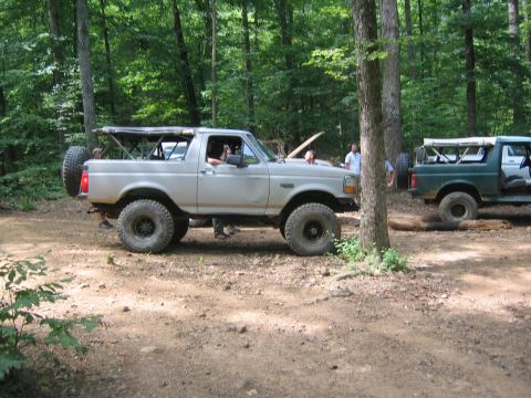 1979 Ford Bronco - Two Ford Broncos are parked in a wooded area, suggesting an off-road excursion or gathering.