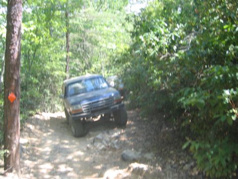 1979 Ford Bronco - A dark SUV navigates a challenging, rocky path through a dense forest.