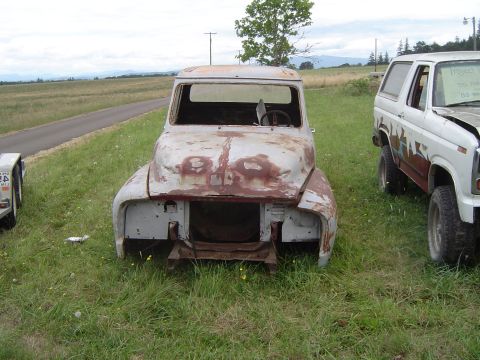1955 Ford F-100 - 55 lookin pretty sad