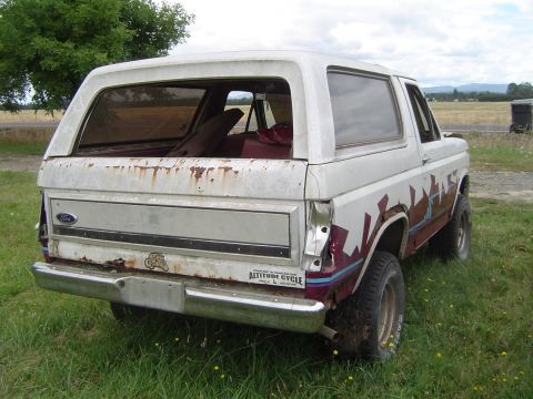 1955 Ford F-100 - This white Ford Bronco shows significant rust and graffiti, with its rear end facing the camera.