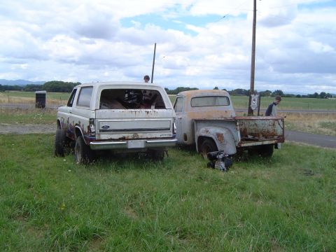 1955 Ford F-100 - A white SUV and a light blue pickup truck sit in a grassy field, both showing signs of age and rust.