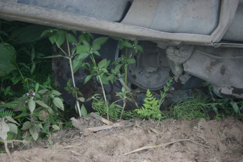 2003 Jeep TJ - The undercarriage of a vehicle is partially obscured by overgrown vegetation, revealing a tire and suspension parts.