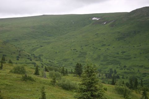 2003 Jeep TJ - A vast, green, rolling landscape under an overcast sky, with sparse trees and distant snow patches.