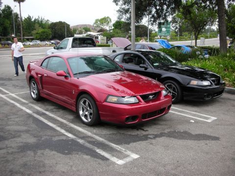 1998 Ford Crown Victoria - red Ford Mustang Cobra and a black Mustang Cobra parked side by side in a sunny parking lot, hoods up in the background.