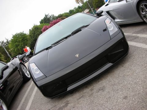 1998 Ford Crown Victoria - Low-angle front view of a dark gray Lamborghini Gallardo with the bull crest, parked beside other cars.