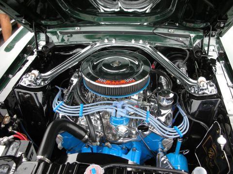1998 Ford Crown Victoria - immaculate engine bay shows a chrome air cleaner, blue spark plug wires, and a Ford-branded valve cover under an open green hood.
