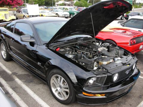 1998 Ford Crown Victoria - black Ford Mustang GT sits with its hood raised to display the engine, parked next to a red Ferrari at an outdoor meet.
