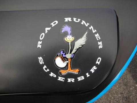 1998 Ford Crown Victoria - Road Runner Superbird decal stands out against a matte black body panel edged with a blue pinstripe.