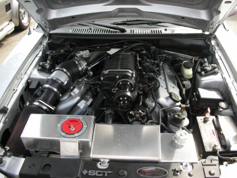 1998 Ford Crown Victoria - Mustang Cobra engine bay reveals a black supercharger, polished intercooler and an SCT-branded cover.