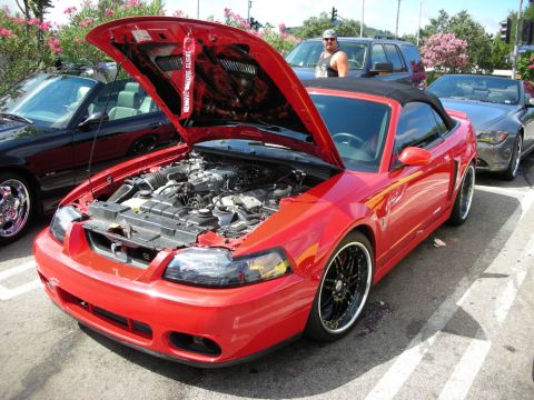 1998 Ford Crown Victoria - red Ford Mustang Cobra convertible sits with hood raised on black wheels, a man standing behind it at a meet.