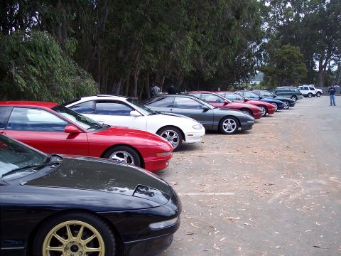 1995 Ford Probe - A row of Ford Probe cars are parked side-by-side in a lot, with trees in the background.