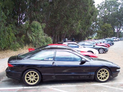 1995 Ford Probe - Several cars are parked in a row next to a line of trees, with a black Ford Probe in the foreground.